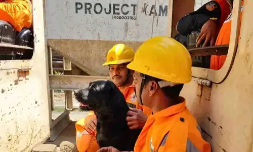 SLBC सुरंग की छत ढहने से फंसे श्रमिकों को बचाने के लिए खोजी कुत्ते तैनात
