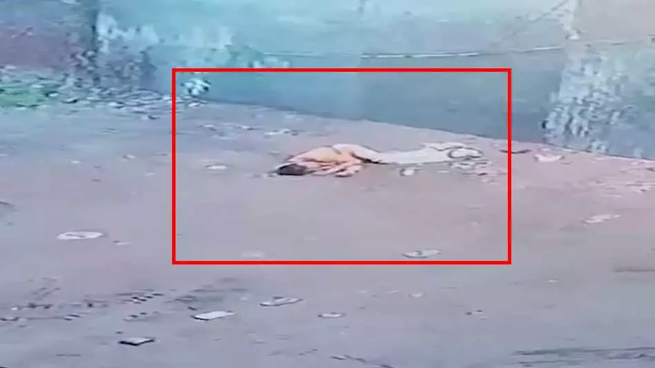 युवक की चली गई जान, कैमरे के सामने हो गया ये सब! युवक की चली गई जान, कैमरे के सामने हो गया ये सब!