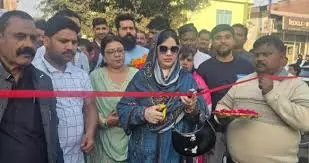 Badau: चेयरपर्सन फात्मा रज़ा ने इंटरलाकिंग, हॉटमिम्स सडकों का उद्घाटन किया Badau: चेयरपर्सन फात्मा रज़ा ने इंटरलाकिंग, हॉटमिम्स सडकों का उद्घाटन किया