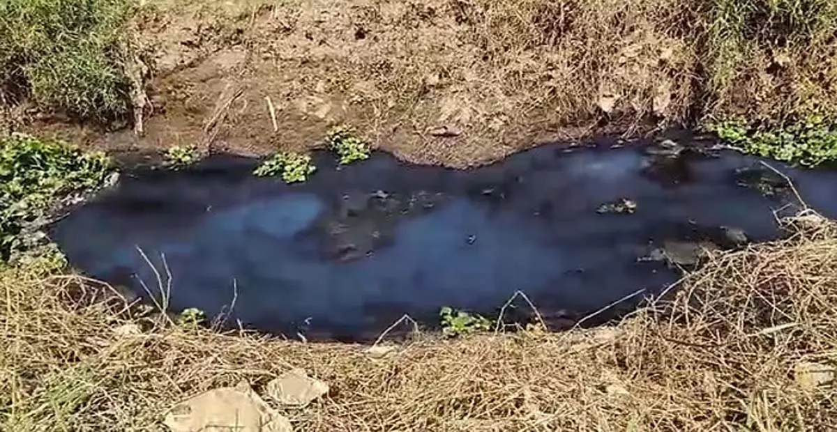 Tamil: स्वास्थ्य विभाग की जांच में फेकल कोलीफॉर्म का उच्च स्तर सामने आया Tamil: स्वास्थ्य विभाग की जांच में फेकल कोलीफॉर्म का उच्च स्तर सामने आया