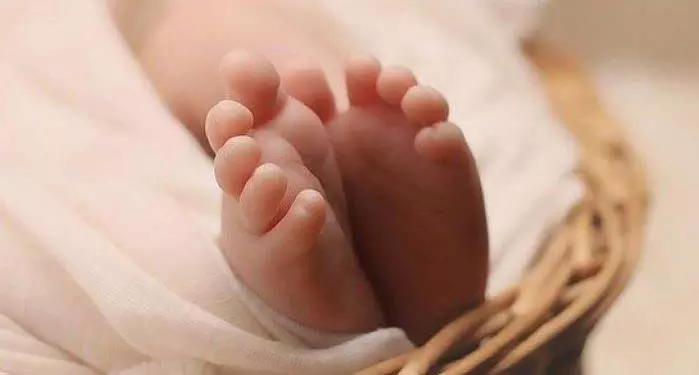 तापमान बढ़ने के साथ प्रवासी पक्षी ओडिशा के भितरकनिका से जल्दी चले जा रहे: अधिकारी तापमान बढ़ने के साथ प्रवासी पक्षी ओडिशा के भितरकनिका से जल्दी चले जा रहे: अधिकारी
