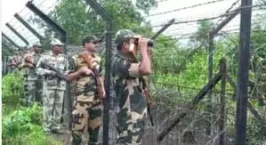 पठानकोट सीमा पर घुसपैठ की कोशिश नाकाम, बीएसएफ ने एक घुसपैठिया मारा पठानकोट सीमा पर घुसपैठ की कोशिश नाकाम, बीएसएफ ने एक घुसपैठिया मारा