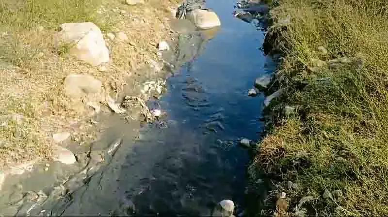 Himachal: फ्लाई ऐश को नदी में फेंक दिया गया Himachal: फ्लाई ऐश को नदी में फेंक दिया गया