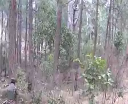 सेना के वाहन पर हमले के बाद Rajouri में घेराबंदी और तलाशी अभियान जारी सेना के वाहन पर हमले के बाद Rajouri में घेराबंदी और तलाशी अभियान जारी