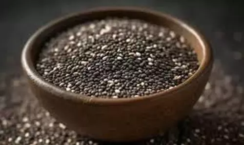 Chia Seeds: चिया सीड्स के साथ इन फूड्स को मिलाकर खाएं, वजन घटाने में मिलेगी मदद