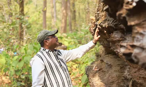 Odisha: भीममंडली को पूरे भारत में लोकप्रिय बनाया जाएगा Odisha: भीममंडली को पूरे भारत में लोकप्रिय बनाया जाएगा