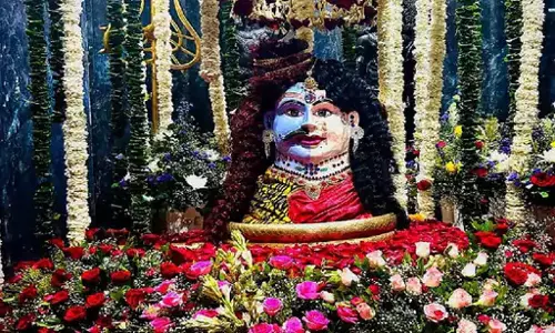 रायपुर में हटकेश्वरनाथ महादेव का महाशिवरात्रि के अवसर पर अद्भुत श्रृंगार
