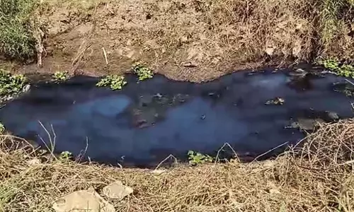 Tamil: स्वास्थ्य विभाग की जांच में फेकल कोलीफॉर्म का उच्च स्तर सामने आया