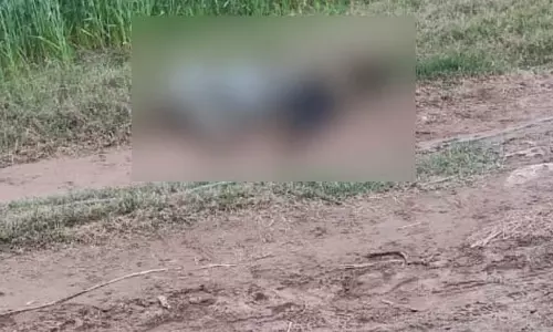 BIG BREAKING: भारतीय सीमा में घुस रहा था पाकिस्तानी घुसपैठिया, BSF ने कर दिया ढेर BIG BREAKING: भारतीय सीमा में घुस रहा था पाकिस्तानी घुसपैठिया, BSF ने कर दिया ढेर