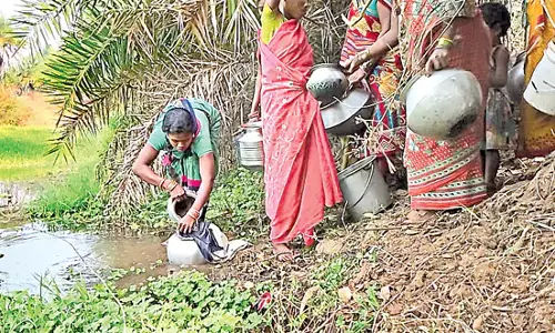 Odisha: गांव में दूषित पानी पीने से बीमारियां बढ़ रही Odisha: गांव में दूषित पानी पीने से बीमारियां बढ़ रही