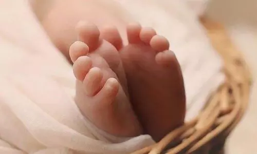 तापमान बढ़ने के साथ प्रवासी पक्षी ओडिशा के भितरकनिका से जल्दी चले जा रहे: अधिकारी तापमान बढ़ने के साथ प्रवासी पक्षी ओडिशा के भितरकनिका से जल्दी चले जा रहे: अधिकारी