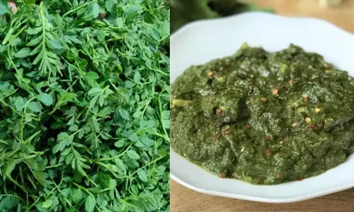 चना का साग रेसिपी चना का साग रेसिपी