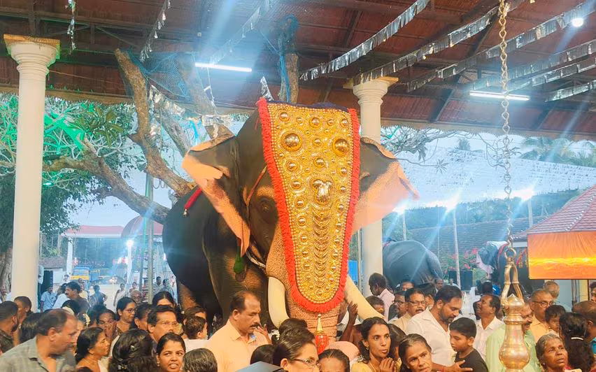 वीएफएई ने ‘शिव शक्ति’ लॉन्च किया Kerala के बंदी हाथियों के संकट का एक रोबोटिक समाधान