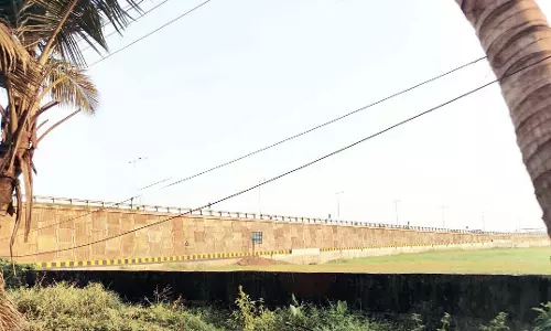 पर्यावरण संबंधी चिंताओं के बीच Benaulim पुलिया निर्माण कार्य पर रोक के आदेश की उम्मीद पर्यावरण संबंधी चिंताओं के बीच Benaulim पुलिया निर्माण कार्य पर रोक के आदेश की उम्मीद
