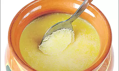 Andhra: घी तैयार करने में रसायनों का उपयोग Andhra: घी तैयार करने में रसायनों का उपयोग