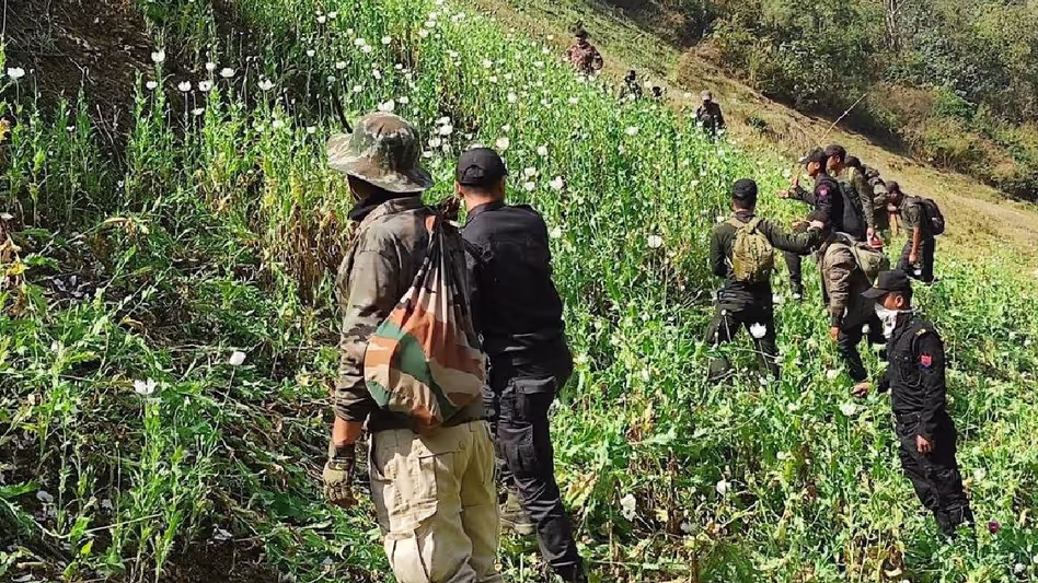 Manipur : सुरक्षा बलों और वन अधिकारियों ने कांगपोकपी में 35 एकड़ अवैध अफीम की खेती नष्ट