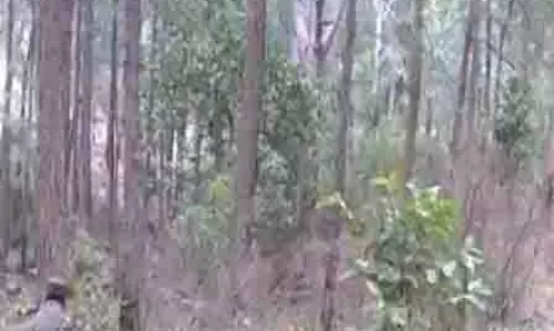 सेना के वाहन पर हमले के बाद Rajouri में घेराबंदी और तलाशी अभियान जारी