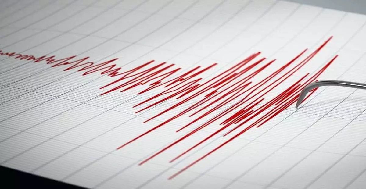 असम में 5.0 की तीव्रता का भूकंप दर्ज किया गया असम में 5.0 की तीव्रता का भूकंप दर्ज किया गया