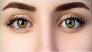 Beauty: घनी और काली आइब्रो पाने का सस्ता घरेलू उपाय Beauty: घनी और काली आइब्रो पाने का सस्ता घरेलू उपाय