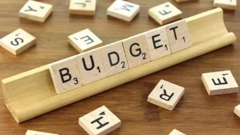 जम्मू-कश्मीर के स्टार्टअप संस्थापकों ने बजट 2025-26 में प्रोत्साहन बढ़ाने की मांग की जम्मू-कश्मीर के स्टार्टअप संस्थापकों ने बजट 2025-26 में प्रोत्साहन बढ़ाने की मांग की