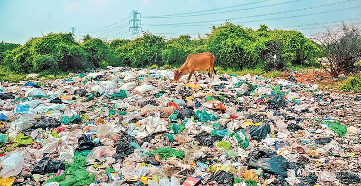Tamil Nadu: नेल्लई मेडिकल कॉलेज परिसर में बायोमेडिकल, प्लास्टिक कचरा जलाया गया Tamil Nadu: नेल्लई मेडिकल कॉलेज परिसर में बायोमेडिकल, प्लास्टिक कचरा जलाया गया
