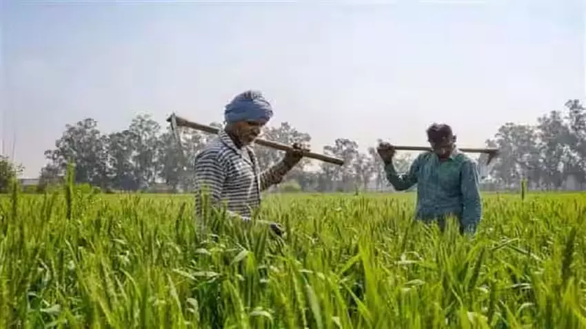 कृषि बजट वक्तव्य: मंत्री ने 9 जिलों के किसानों से फीडबैक मांगा कृषि बजट वक्तव्य: मंत्री ने 9 जिलों के किसानों से फीडबैक मांगा