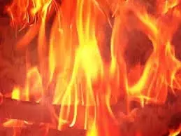 Hamirpur: शिवरात्रि पर मंदिर गया था परिवार, घर पर हुआ बड़ा हादसा Hamirpur: शिवरात्रि पर मंदिर गया था परिवार, घर पर हुआ बड़ा हादसा