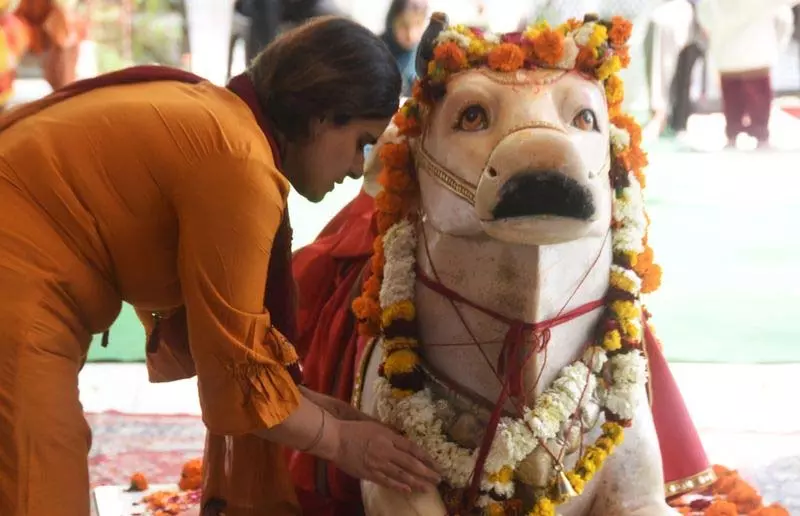 Mahashivratri पर क्षेत्र के मंदिरों में उमड़ी भारी भीड़ Mahashivratri पर क्षेत्र के मंदिरों में उमड़ी भारी भीड़