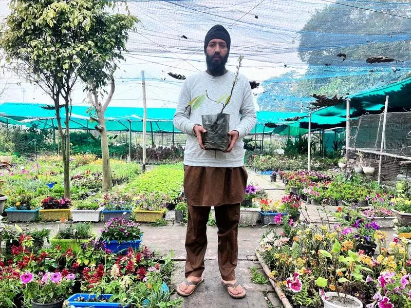 किसान ने रिवर्स माइग्रेशन का विकल्प चुना, Punjab में बागवानी को पुनर्जीवित करने का लक्ष्य किसान ने रिवर्स माइग्रेशन का विकल्प चुना, Punjab में बागवानी को पुनर्जीवित करने का लक्ष्य