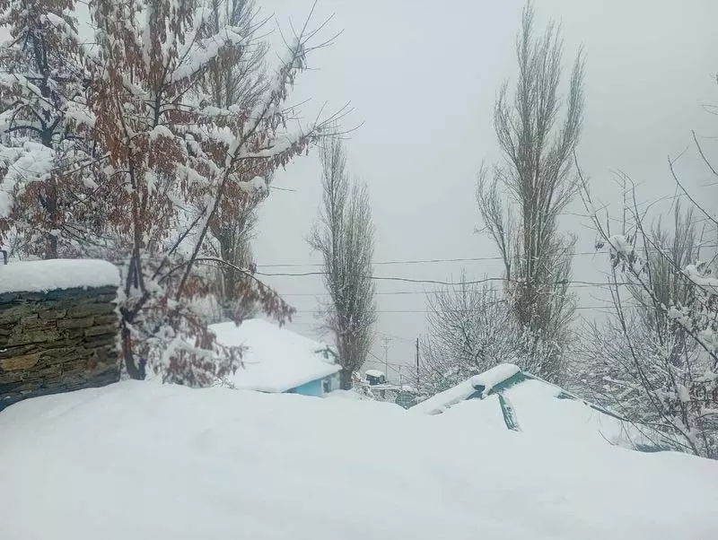भारी बर्फबारी से Pangi घाटी का संपर्क टूटा, 30 सड़कें अवरुद्ध भारी बर्फबारी से Pangi घाटी का संपर्क टूटा, 30 सड़कें अवरुद्ध