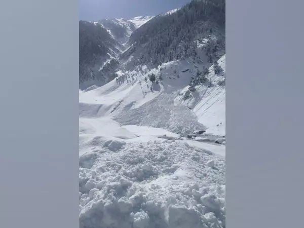 हिमाचल प्रदेश में भारी बारिश और बर्फबारी के बीच Lahaul-स्पीति में हिमस्खलन की चेतावनी जारी हिमाचल प्रदेश में भारी बारिश और बर्फबारी के बीच Lahaul-स्पीति में हिमस्खलन की चेतावनी जारी