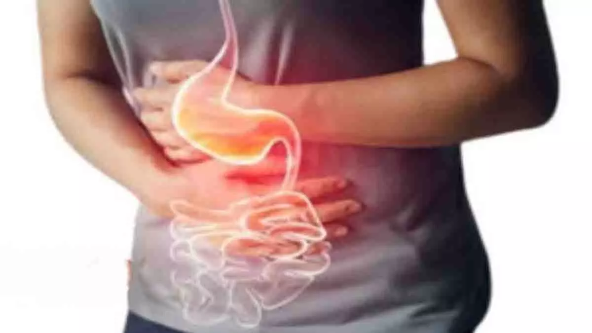 Gastric Bacteria किस प्रकार पेट के कैंसर का कारण बनता है- अध्ययन Gastric Bacteria किस प्रकार पेट के कैंसर का कारण बनता है- अध्ययन