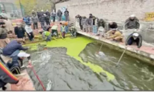एसएमसी, एनएलसीओ आज एंकर में 11वीं स्प्रिंग बहाली का शुभारंभ करेंगे एसएमसी, एनएलसीओ आज एंकर में 11वीं स्प्रिंग बहाली का शुभारंभ करेंगे