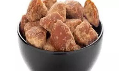 Health: जानिए आपको काली मिर्च के साथ गुड़ क्यों खाना चाहिए Health: जानिए आपको काली मिर्च के साथ गुड़ क्यों खाना चाहिए