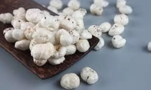 Health: मखाने के साथ खाएं ये चीजें, प्रोटीन की कमी होगी दूर, मिलेंगे ये कमाल के फायदे Health: मखाने के साथ खाएं ये चीजें, प्रोटीन की कमी होगी दूर, मिलेंगे ये कमाल के फायदे