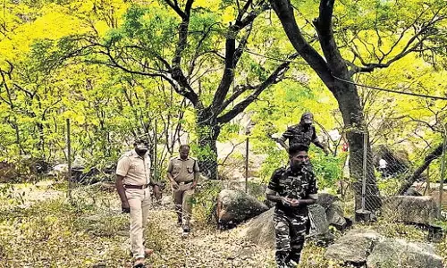 Tamil Nadu: तिरुमूर्ति पहाड़ियों में मैकाक पक्षी बीमार पड़े