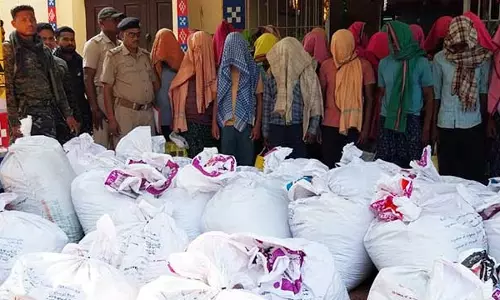 Odisha: बौध जिले में 672 किलोग्राम मारिजुआना जब्त