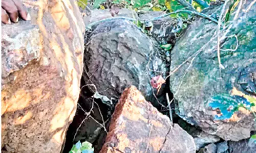 Odisha: गांव के कृषि भूमि में कुछ प्राचीन पत्थर मिले