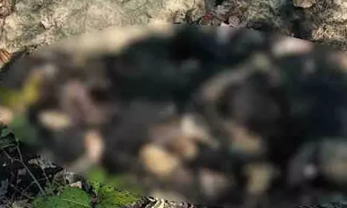 भालू का शव मिला, नाखून और कई अंग गायब भालू का शव मिला, नाखून और कई अंग गायब