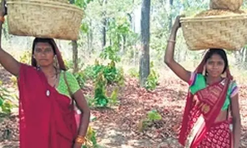 केंद्र ने मध्य प्रदेश सरकार से वन अधिकार दावों पर गौर करने को कहा
