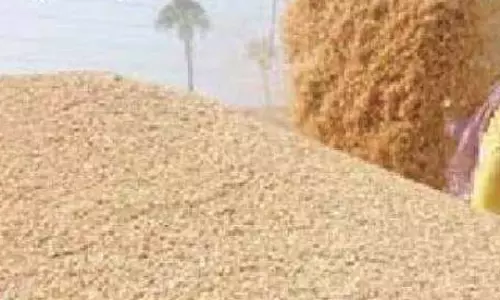 धान खरीदी केंद्र के प्रभारी और डाटा एंट्री ऑपरेटर के खिलाफ FIR दर्ज