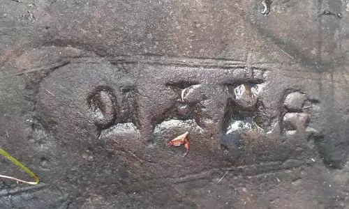 ASI 30 नए शिलालेखों की ‘स्थापना’ करने के लिए लंकामल्लेश्वर अभयारण्य का दौरा करेगा