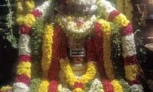 महाशिवरात्रि पर्व धूमधाम से मनाया गया, मंदिरों में बड़ी संख्या में श्रद्धालु उमड़े