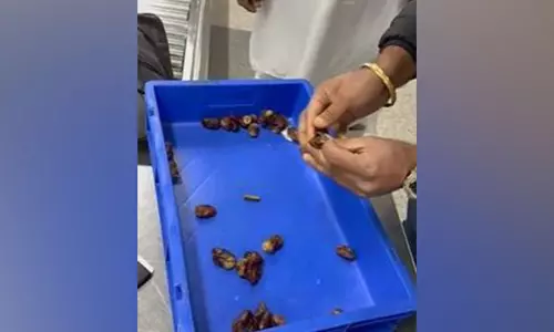 IGI Airport पर कस्टम ने खजूर में छिपाकर रखा गया 172 ग्राम सोना जब्त किया