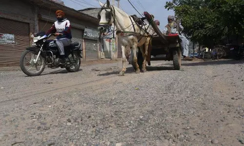 Ludhiana: खराब सड़कों, कचरा निपटान, जल निकासी की समस्याओं से जूझना पड़ रहा Ludhiana: खराब सड़कों, कचरा निपटान, जल निकासी की समस्याओं से जूझना पड़ रहा