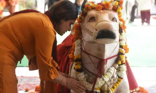 Mahashivratri पर क्षेत्र के मंदिरों में उमड़ी भारी भीड़