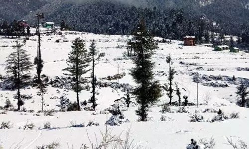 Gulmarg Gondola, वैष्णोदेवी में हेली सेवा निलंबित Gulmarg Gondola, वैष्णोदेवी में हेली सेवा निलंबित