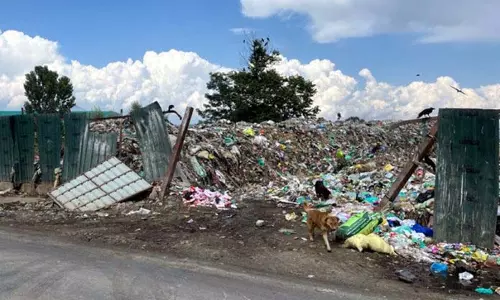 Pulwama रिंग रोड पर कचरा डंप होने से स्वास्थ्य और सुरक्षा संबंधी चिंताएं पैदा हुईं