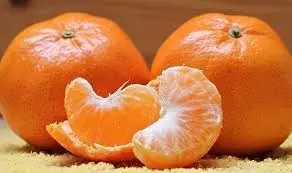 Health: डिप्रेशन से बचाव में मददगार है ये खट्टा फल Health: डिप्रेशन से बचाव में मददगार है ये खट्टा फल