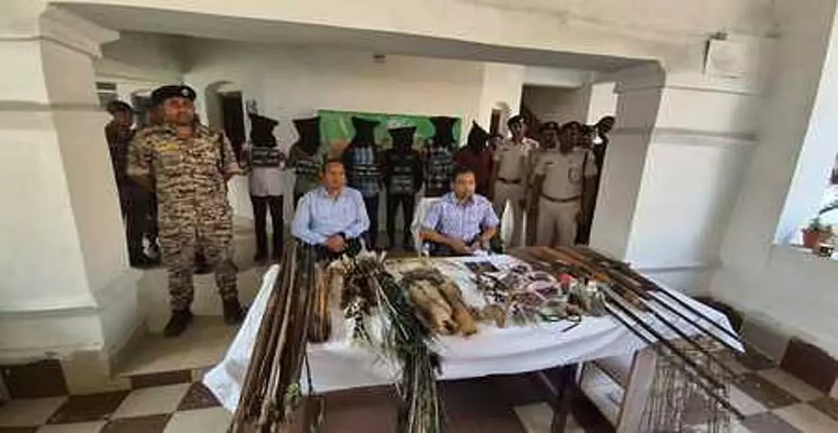 Odisha: सुंदरगढ़ में हथियार और वन्यजीव सामग्री के साथ छह शिकारी गिरफ्तार Odisha: सुंदरगढ़ में हथियार और वन्यजीव सामग्री के साथ छह शिकारी गिरफ्तार